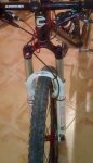 27112010397.jpg