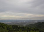 P1012553 [].JPG