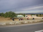 P1012575 [].JPG