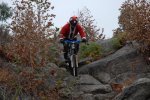 DSC_0110_1000x669.jpg