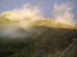 P1012427 [].JPG