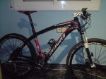 specialized foto 4.JPG