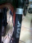 IMG01362-20101221-1624.jpg