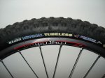 Bontrager Rhytm Elite_4.jpg