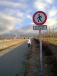 14122010091.jpg