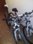 bici1.jpg