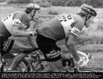 flandria-freddy.jpg