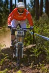 _DSC0543-v2.jpg