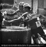 flandria-kelly.jpg