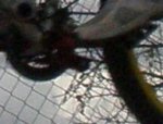 PC230012.JPG