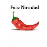nuevo-1.jpg