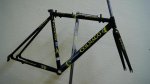 DSC00539.JPG