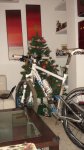 DSC08754-1.JPG