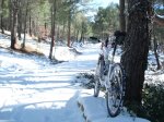 DSC05225_1.JPG