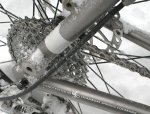 moots22pa.jpg