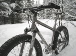moots71ws.jpg