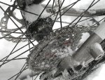 moots115dp.jpg