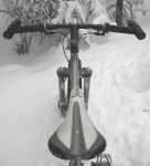 moots96pi.jpg