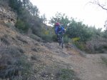 P1012682 [].JPG
