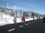 b-IMG_1495.JPG