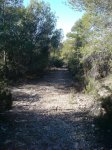 Imagen9-1.jpg