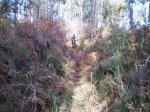 26-12-2010 024.JPG