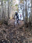 26-12-2010 016.JPG