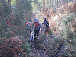 26-12-2010 032 B.gif