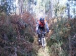 26-12-2010 031.JPG