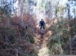 26-12-2010 026.JPG