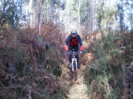 26-12-2010 030 B.gif