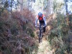 26-12-2010 025.JPG