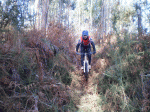 26-12-2010 028 B.gif