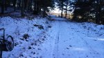 DSC00323.jpg