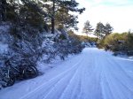 DSC00332.jpg