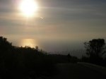m_100_0530.jpg