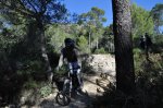 DH Cura 27-12-2010 090.JPG