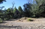 DH Cura 27-12-2010 147.JPG