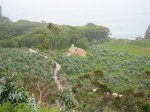 IMG_0064.JPG