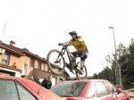 standriu cars800.jpg
