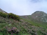 Copia de DSC00049.JPG