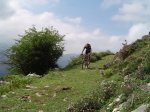 Copia de DSC00045.JPG