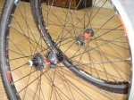 DSC01118.JPG