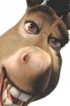 shrek2-asno-744460.jpg