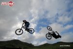 pbpic1111176.jpg