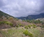 P0000046_redimensionar.JPG