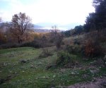 P0000048_redimensionar.JPG