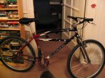 pimpbike.jpeg