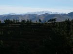 P1000727.jpg