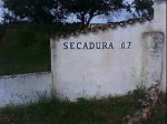 DSC00248.jpg